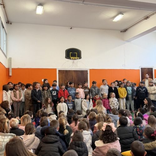 Diada de Sant Antoni