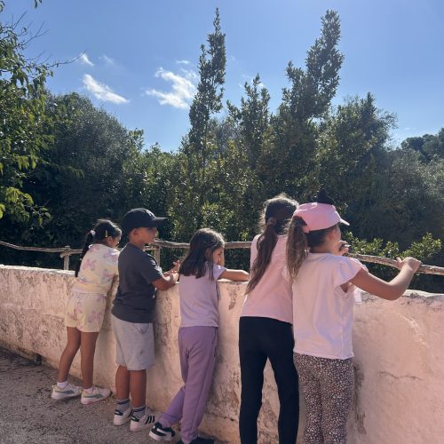 Camp D’Aprenentatge es Pinaret